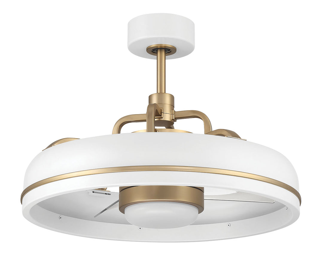 Taylor Fandelier 20" Ceiling Fan
