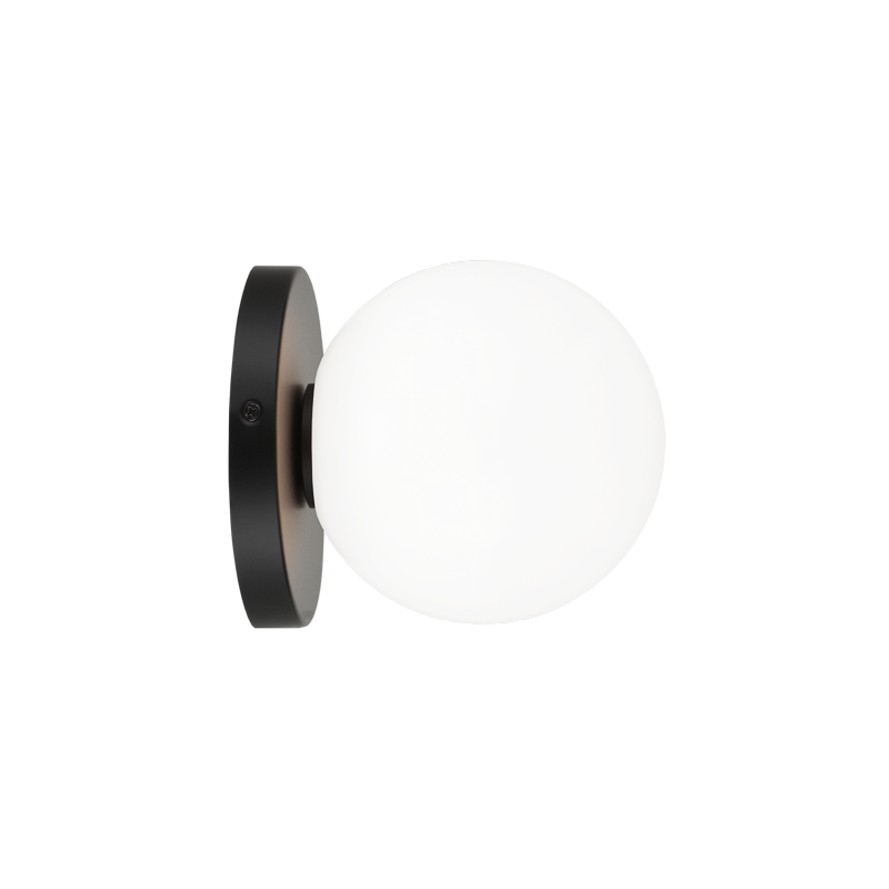 Steel Frame with Glass Globe Flush Mount