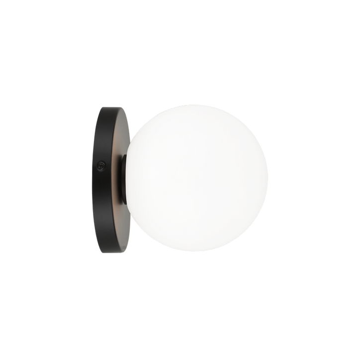 Steel Frame with Glass Globe Flush Mount