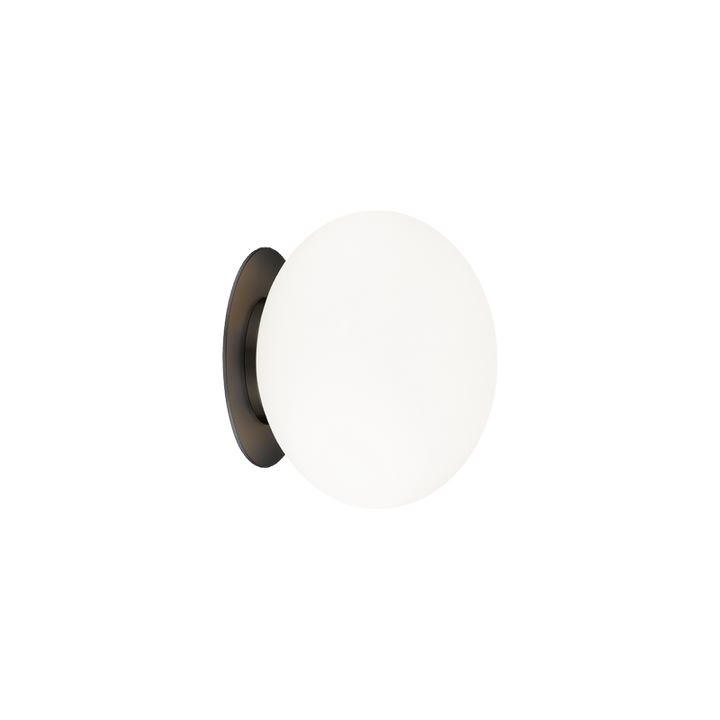 Steel Frame with Opal Glass Shade Flush Mount
