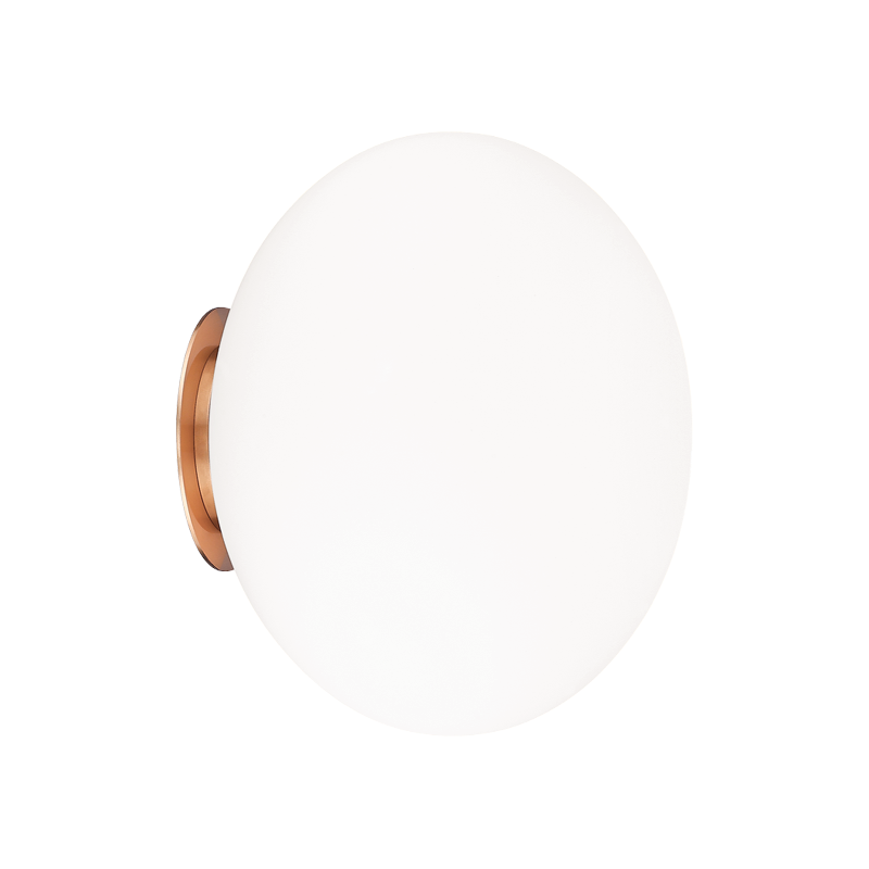 Steel Frame with Opal Glass Shade Flush Mount