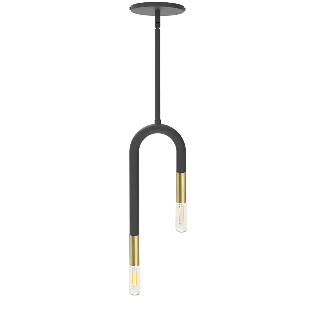 Wand 2 Light Incandescent Pendant in Black & Aged Brass by Dainolite