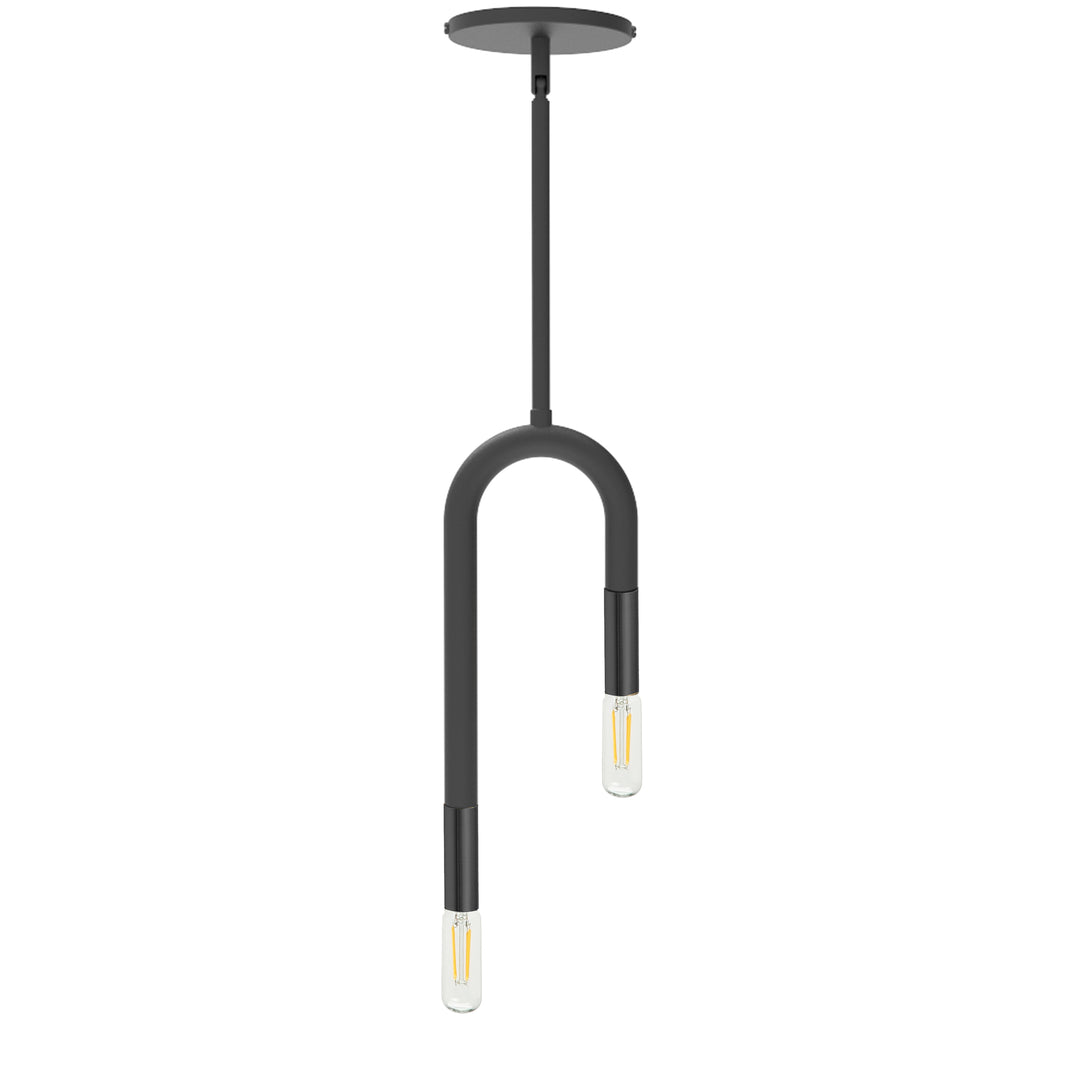 Wand 2 Light Incandescent Pendant in Black by Dainolite