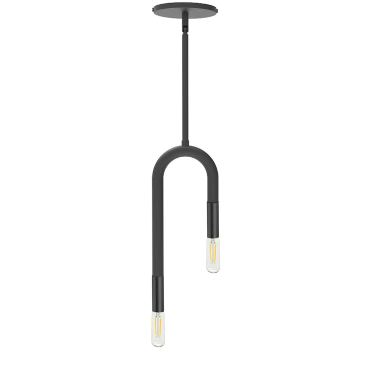 Wand 2 Light Incandescent Pendant in Black by Dainolite
