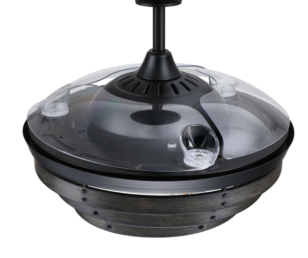 Whiskey 42" Hidden Blade Ceiling Fan