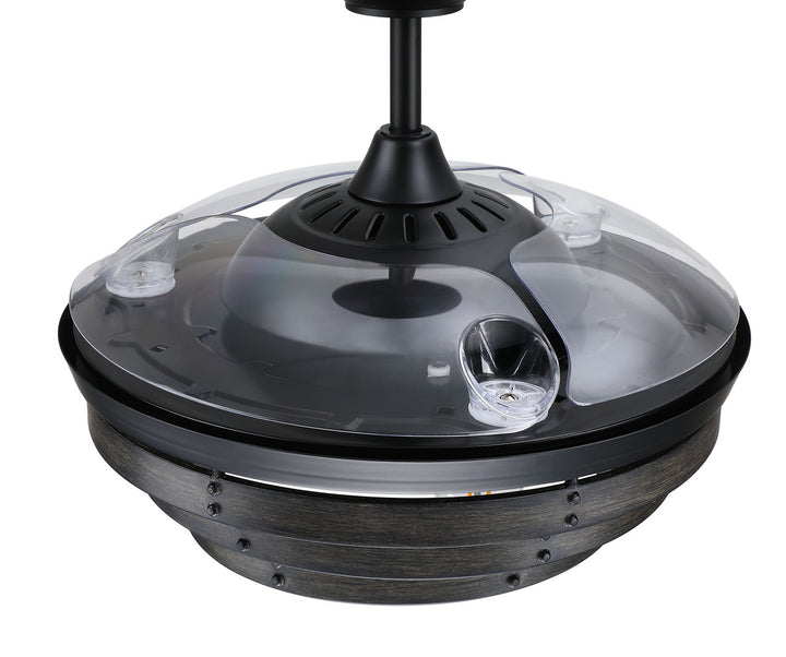 Whiskey 42" Hidden Blade Ceiling Fan