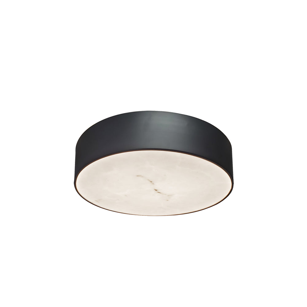 Walsh 20W Flush Mount in Matte Black by Dainolite