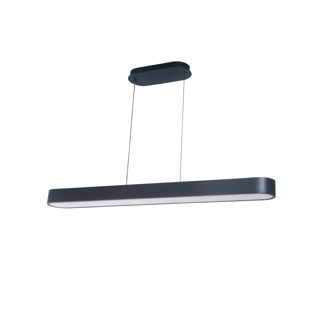 Walsh 50W Horizontal Pendant by Dainolite
