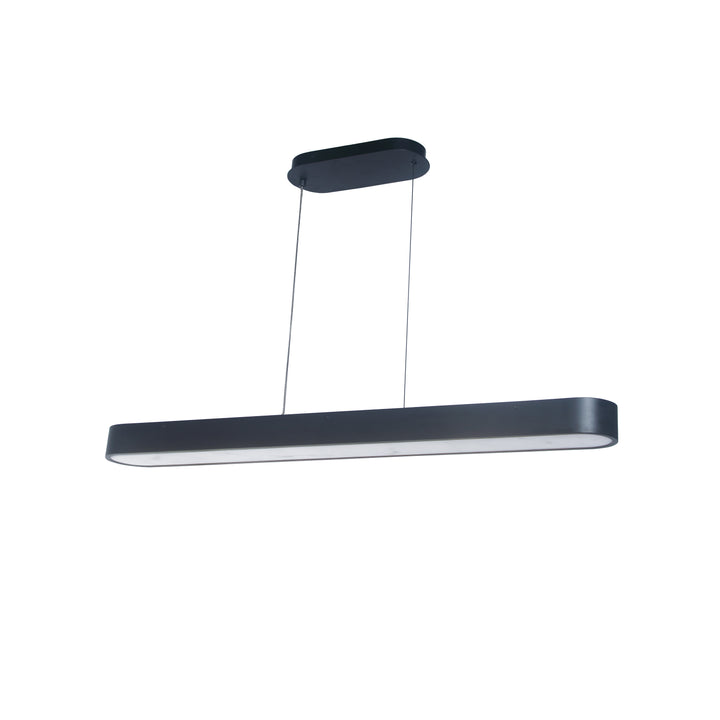 Walsh 50W Horizontal Pendant by Dainolite