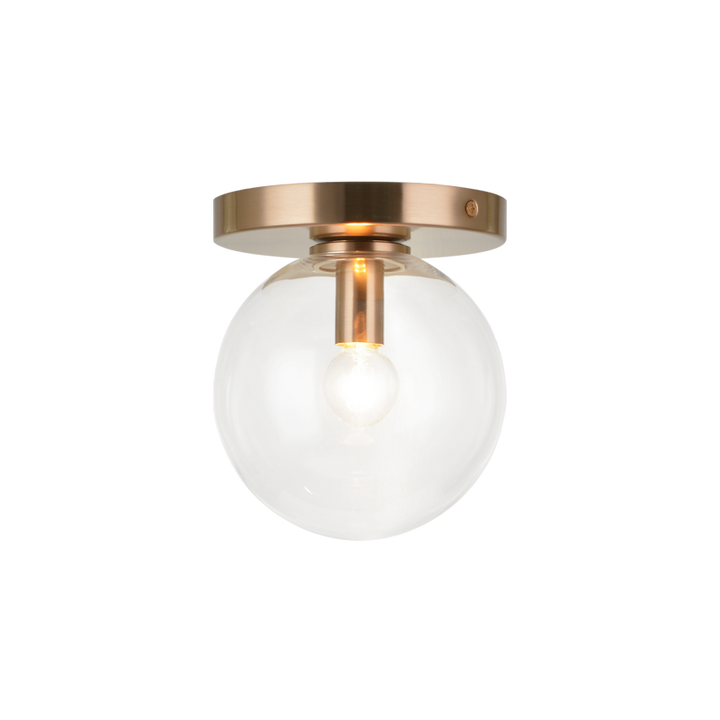 Steel Frame with Glass Globe Flush Mount