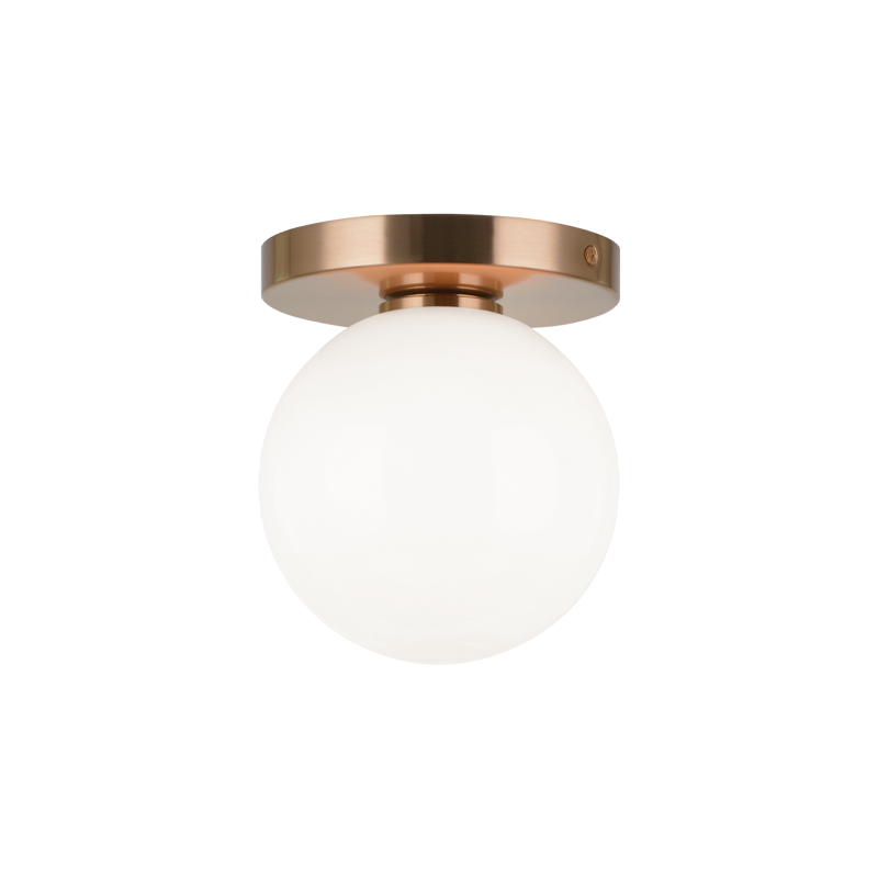 Steel Frame with Glass Globe Flush Mount