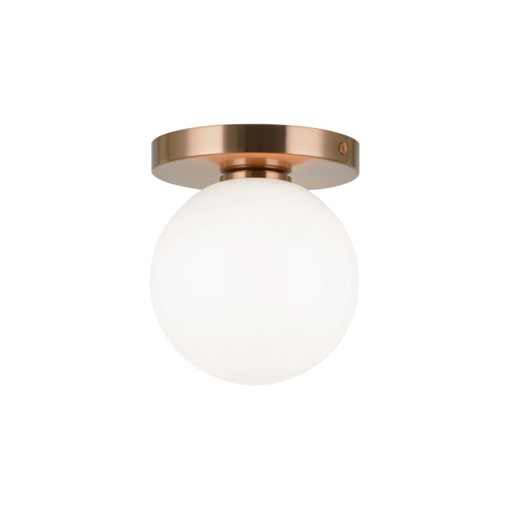 Steel Frame with Glass Globe Flush Mount