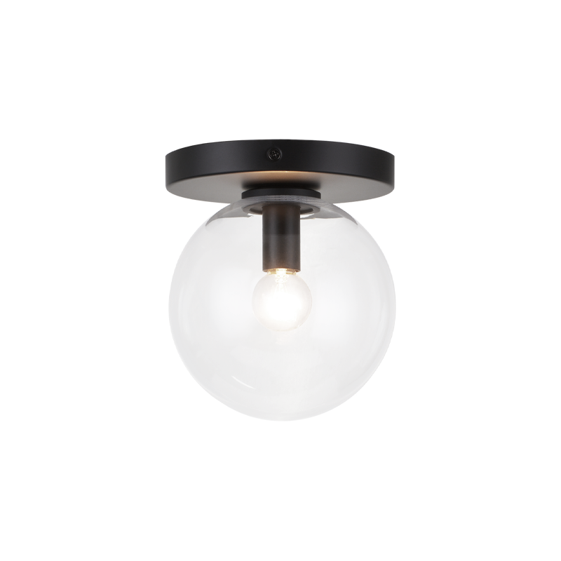 Steel Frame with Glass Globe Flush Mount
