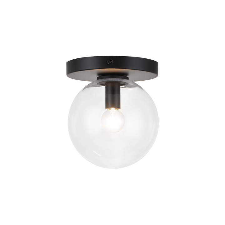 Steel Frame with Glass Globe Flush Mount