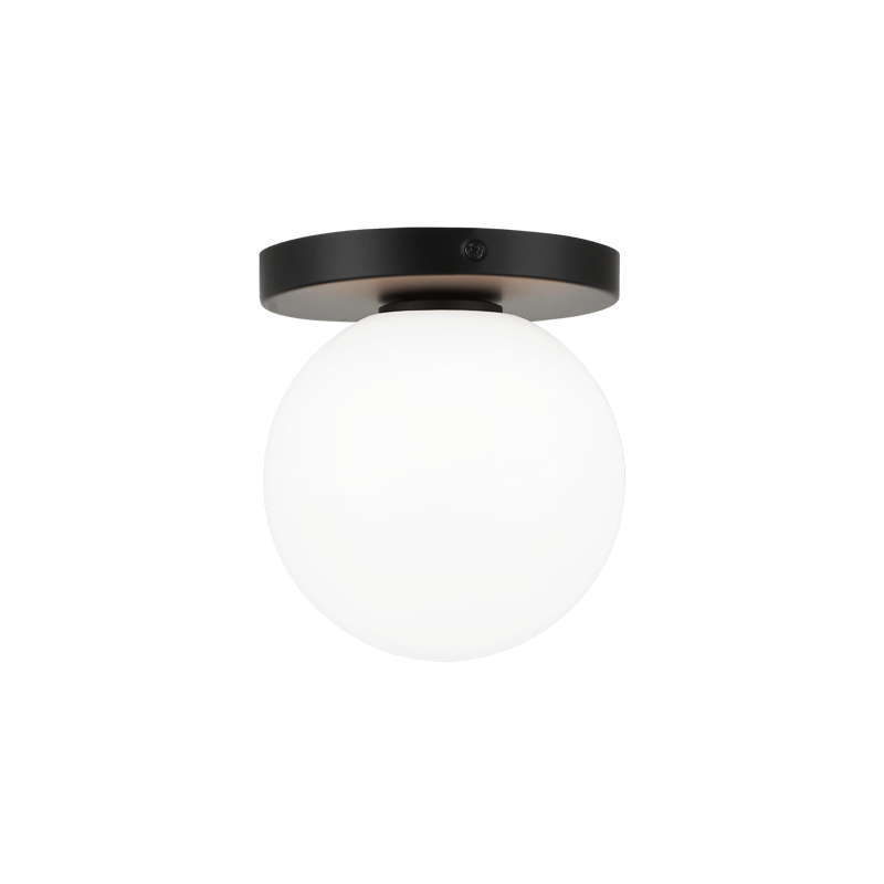 Steel Frame with Glass Globe Flush Mount