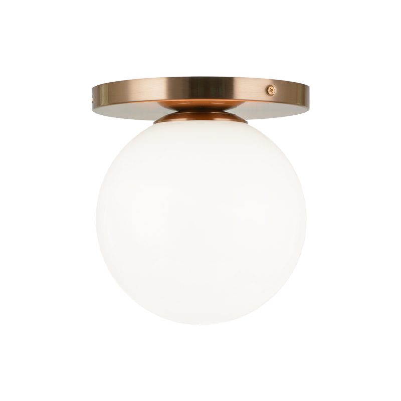 Steel Frame with Glass Globe Flush Mount