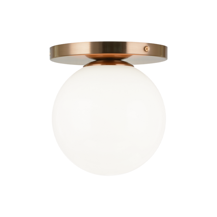 Steel Frame with Glass Globe Flush Mount
