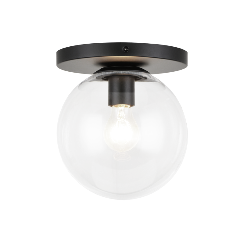Steel Frame with Glass Globe Flush Mount