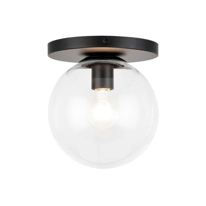 Steel Frame with Glass Globe Flush Mount