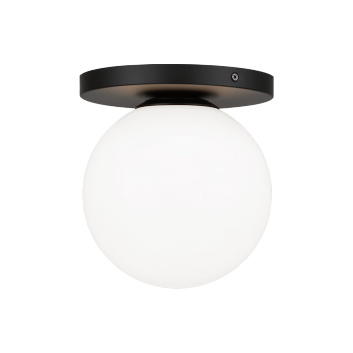 Steel Frame with Glass Globe Flush Mount
