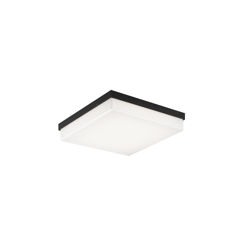LED Steel Square Frame with Painted White Glass Diffuser Flush Mount