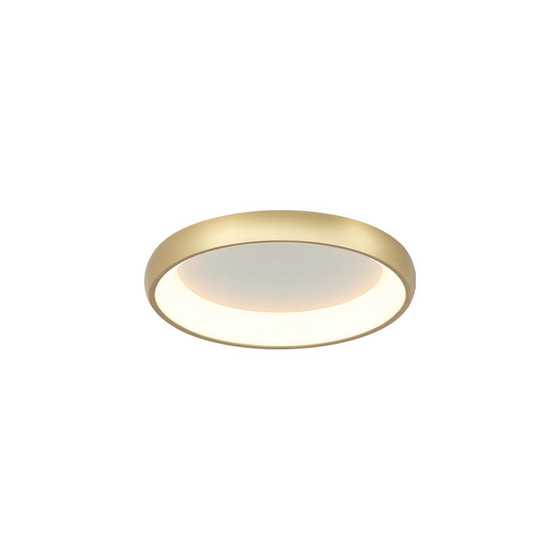 LED Steel Ring Frame with Acrylic Diffuser Flush Mount