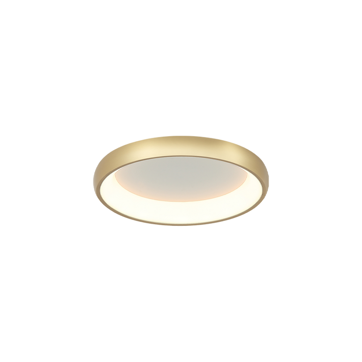 LED Steel Ring Frame with Acrylic Diffuser Flush Mount