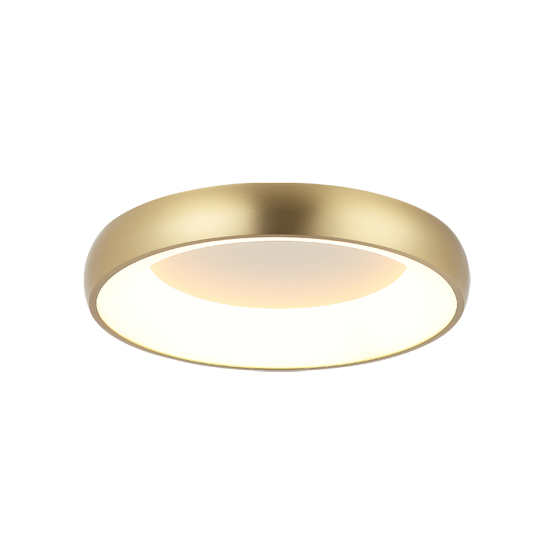 LED Steel Ring Frame with Acrylic Diffuser Flush Mount
