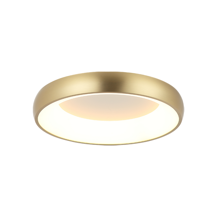 LED Steel Ring Frame with Acrylic Diffuser Flush Mount