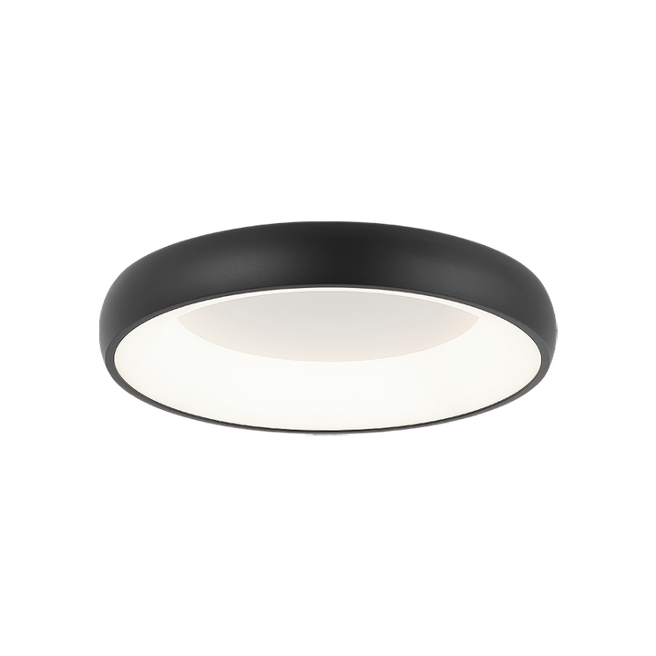 LED Steel Ring Frame with Acrylic Diffuser Flush Mount