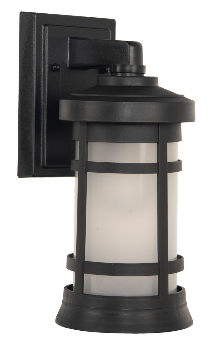 Resilience Outdoor Wall Light by Craftmade - view 48