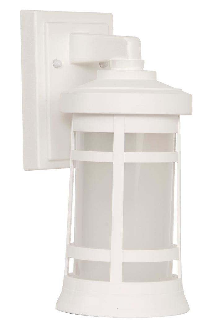 Resilience Outdoor Wall Light by Craftmade - view 54