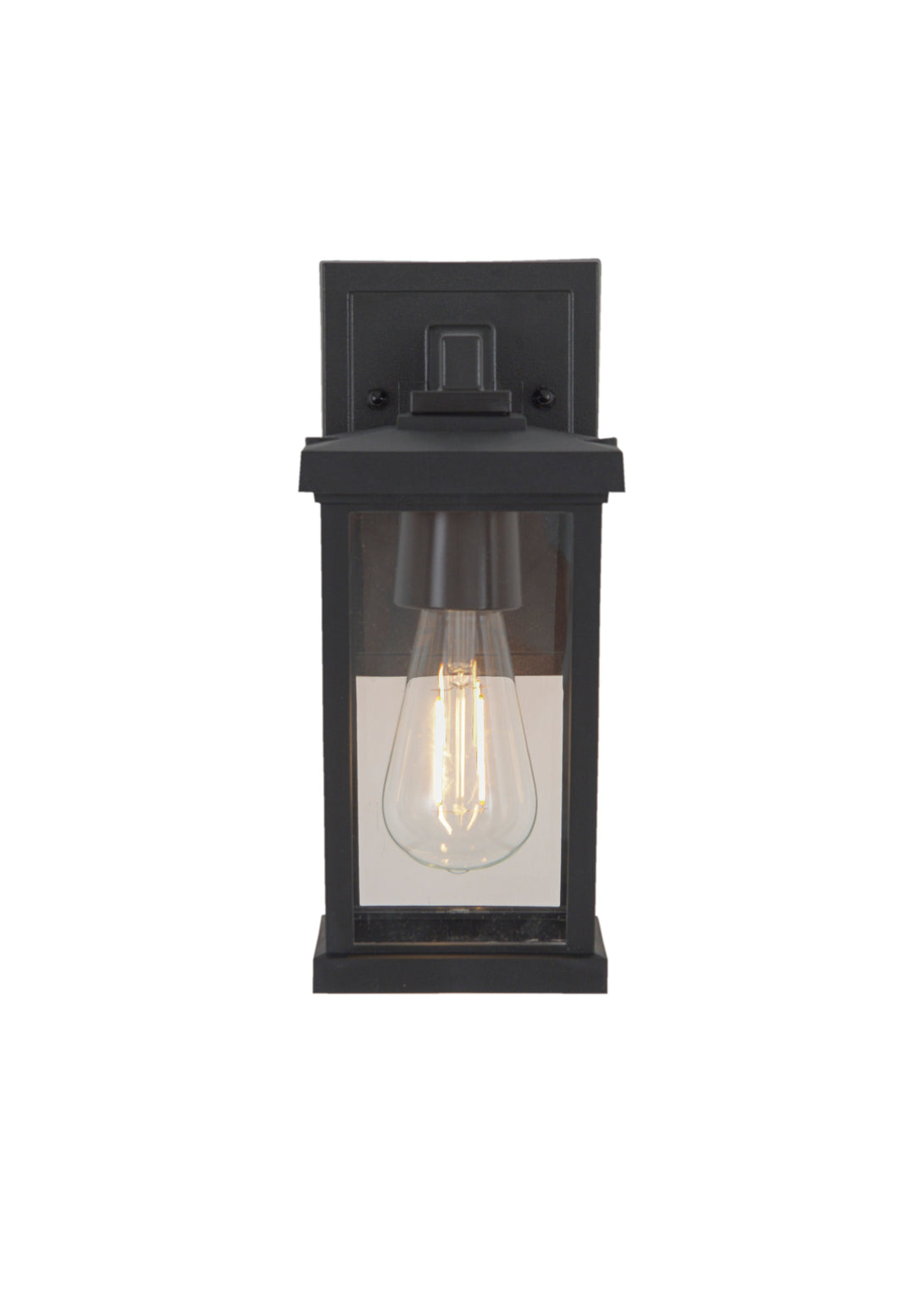 Resilience Outdoor Wall Light by Craftmade - view 17