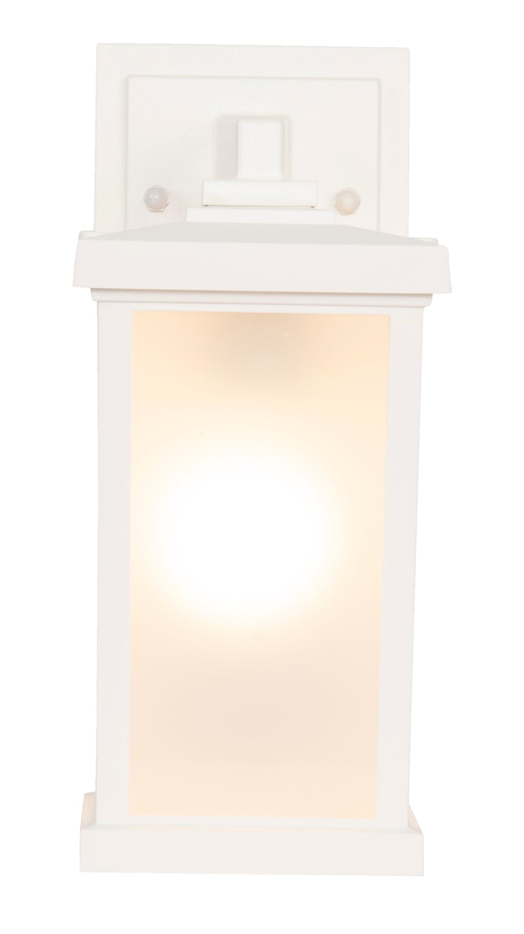 Resilience Outdoor Wall Light by Craftmade - view 30