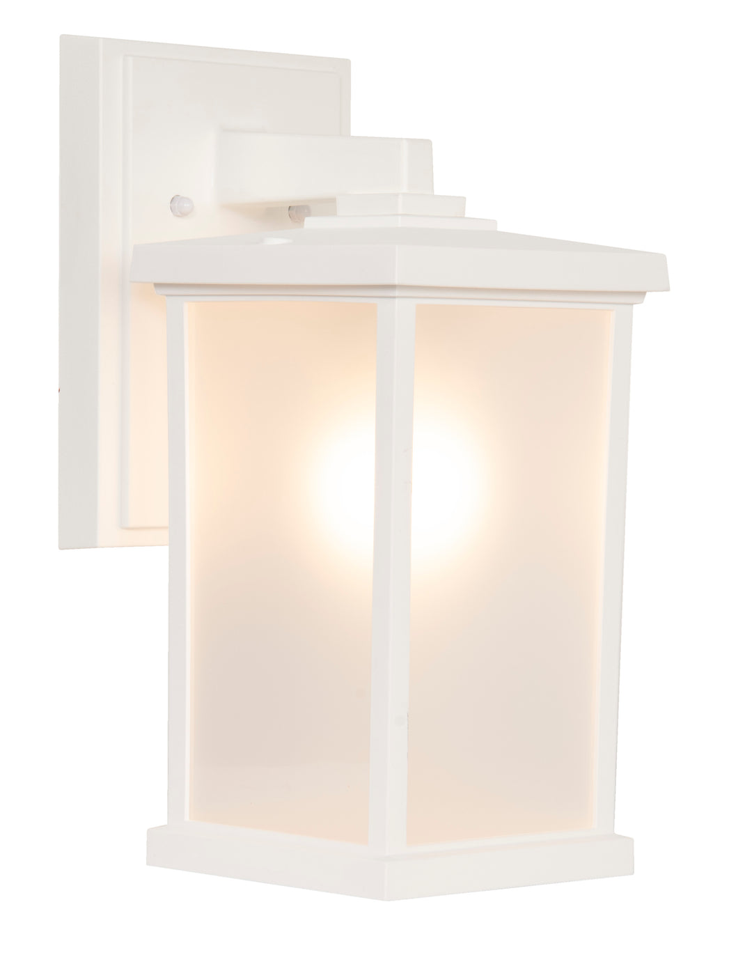 Resilience Outdoor Wall Light in Textured Matte White by Craftmade