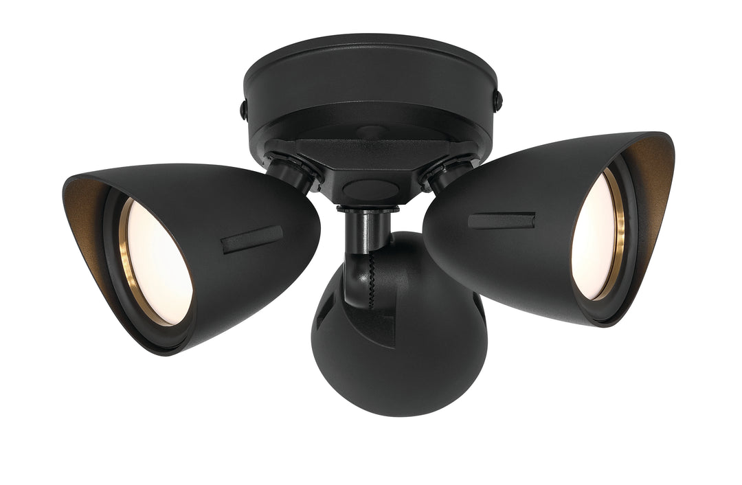 Outdoor LED Flood Light in Textured Black / Adjustable Cct by Craftmade