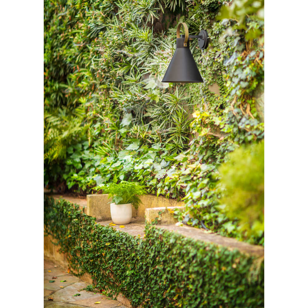 Winnie Wall Mount Lantern