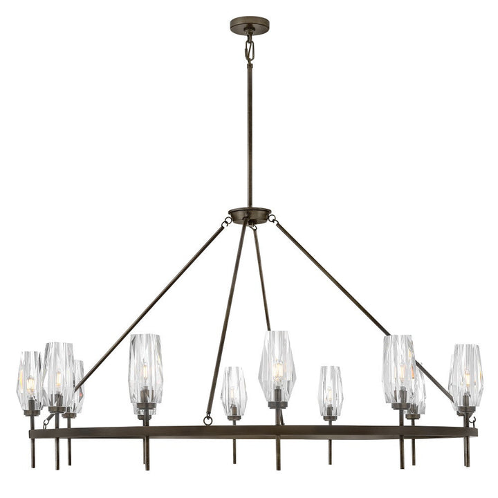 Ana Single Tier Chandelier by Hinkley - view 20