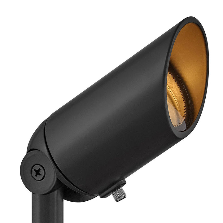 Accent Spotlight