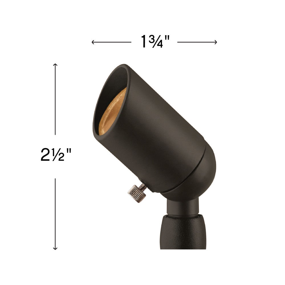 Accent Spotlight