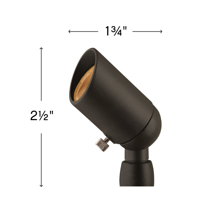 Accent Spotlight
