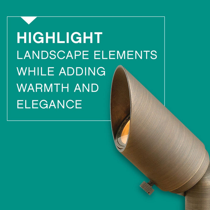 Hardy Island Accent Spotlight