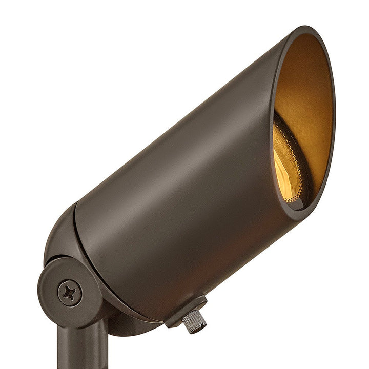 Accent Spotlight