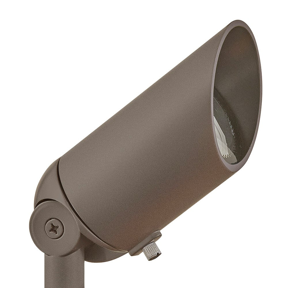 Accent Spotlight