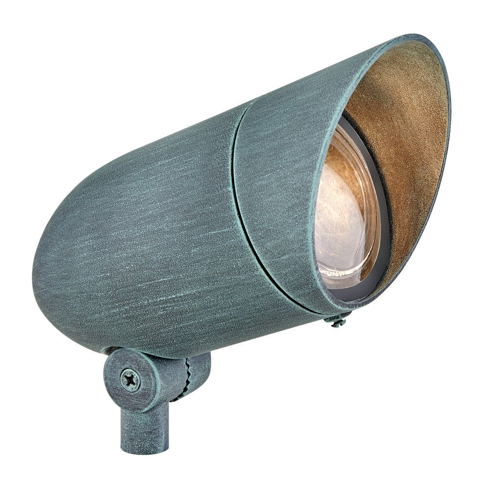 Accent Spotlight