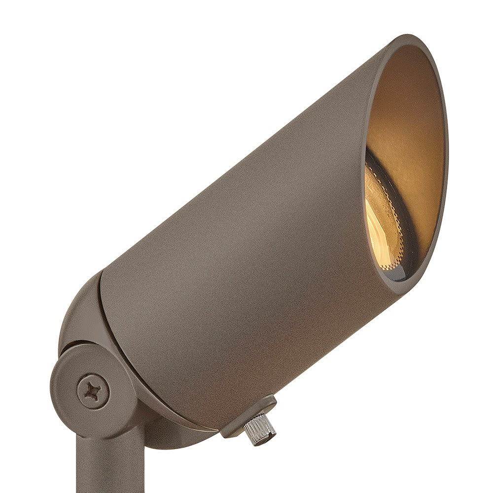 Accent Spotlight