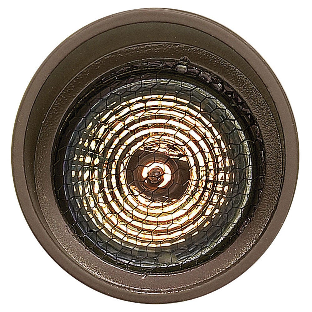 Accent Spotlight