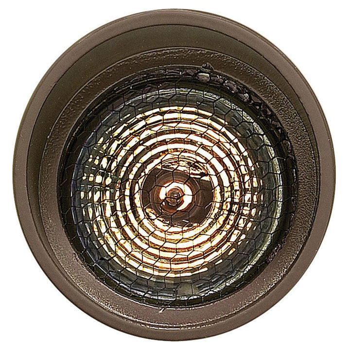 Accent Spotlight