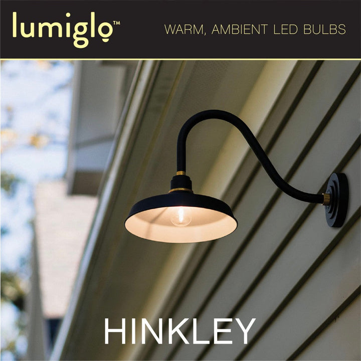 LumiGlo E26G402247CL LED Bulb by Hinkley - view 3