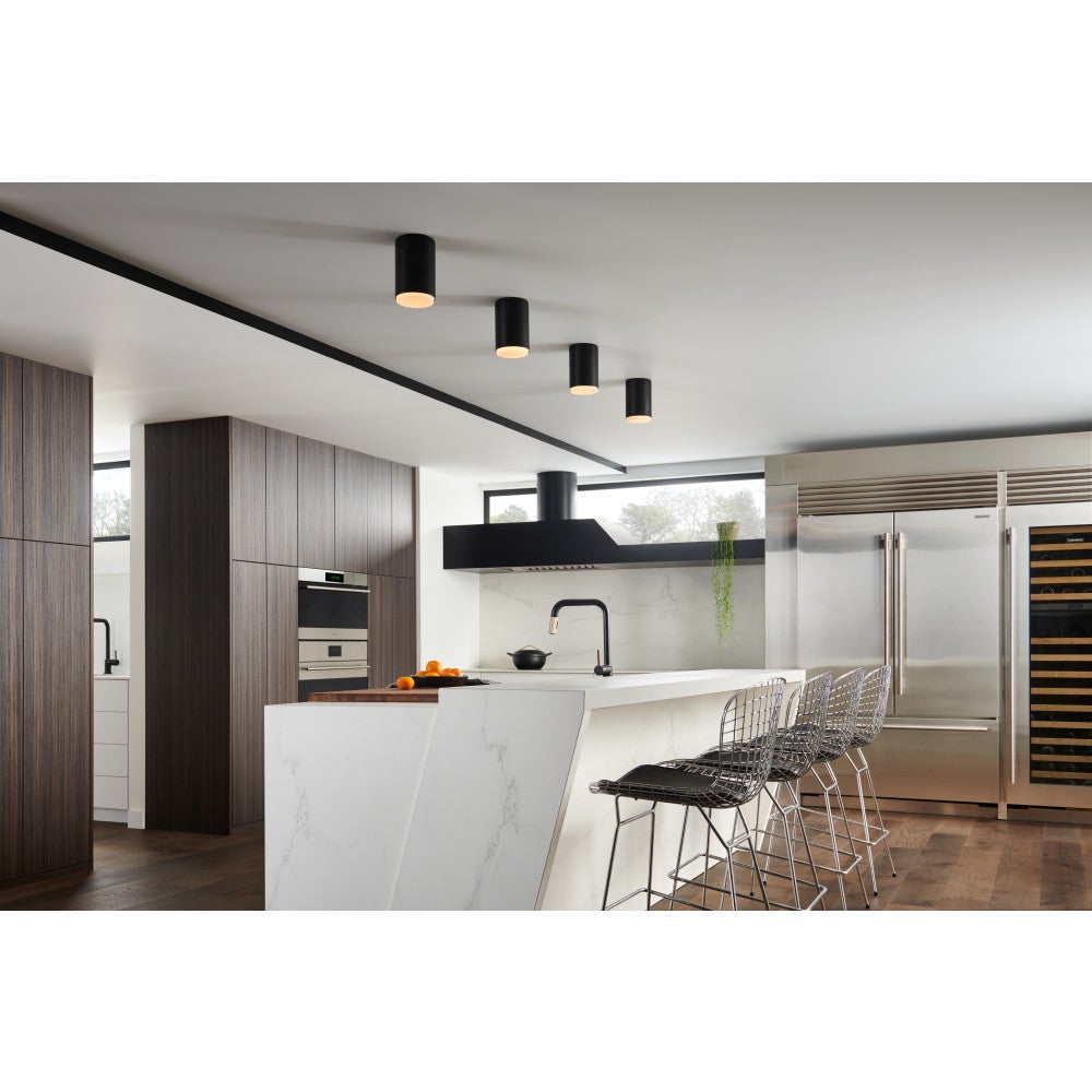 Cedric Flush Mount